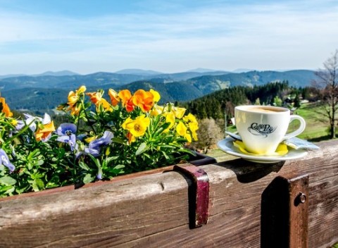 Leto uprostred Kysuckých Beskýd s polpenziou, neobmedzeným wellness a dieťaťom zdarma.
