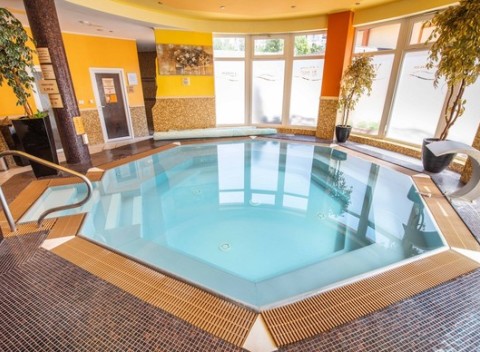 Leto plné kúpania za super cenu a s dieťaťom zdarma vo wellness penzióne Viktória.