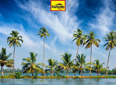 India: Zľava na 14-dňový ozdravovací pobyt Ajurvéda v indickom štáte Kerala.