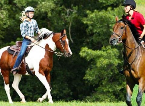 Doprajte si pohľad na svet z konského chrbta. Dvojhodinová jazda na koni v okolitých lesoch Lieskovca.