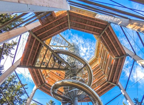 Krkonoše: leto v Hoteli Vladimír *** s polpenziou a Cestou v korunách stromov.