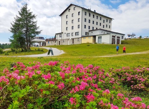 Rakúske Alpy: leto v Hoteli Berghof Tauplitzalm *** pri lanovke + polpenzia.