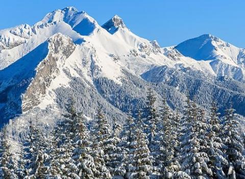 Užite si štýlové ubytovanie  s indoor golfom v cene + 1 dieťa do 13 rokov zadarmo!
