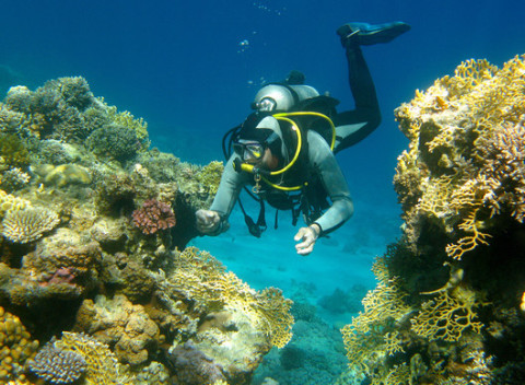 Kurz potápania pre začiatočníkov alebo pokročilých v centre Academia Aquatica.
