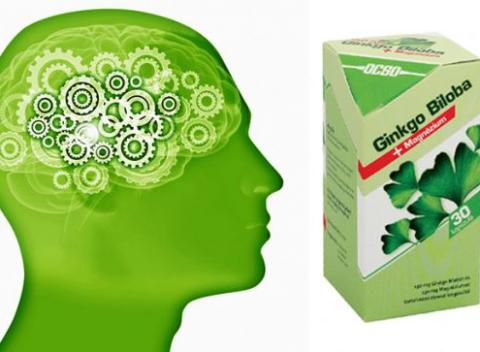 Ginkgo Biloba s magnéziom Podporí a zlepší vašu pamäť