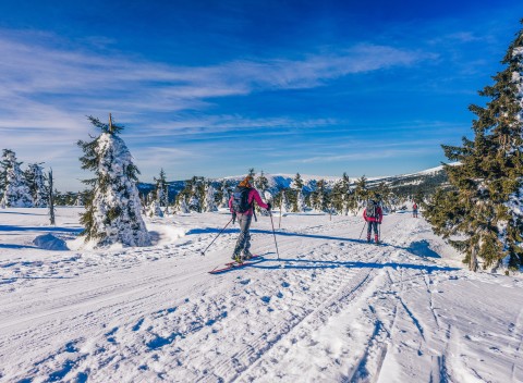 Krkonoše pri zjazdovkách: chata Malá Rennerovka s polpenziou a fínskou saunou.