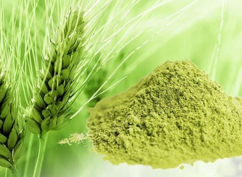 Prírodný zelený jačmeň Zázračný detoxikačný prostriedok plný vitamínov 