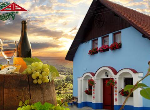 Vinársky pobyt pre dvoch s degustačným večerom. Vyrazte za oddychom do malebného pivničného mestečka Boretice. 