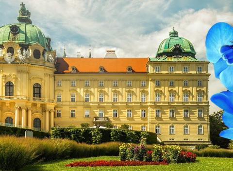Potešte svoje oči na výstave orchideí Klosterneuburg, jednej z najväčších predajných výstav orchideí v Európe.