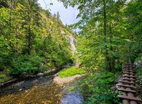 Nadýchajte sa čerstvého vzduchu v Slovenskom raji, pokochajte sa miestnymi krásami a určite si so sebou nezabudnite vziať lyže.