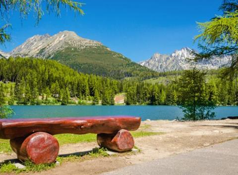 3 až 6-dňový pobyt na Liptove pre 2 osoby. Vydať sa môžete do neďalekých obľúbených aquaparkov, môžete prejsť turisticky zaujímavé oblasti.