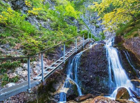 Vyrazte na parádnu dovolenku do prekrásneho Slovenského raja, kde sa nadýchate čerstvého vzduchu, pokocháte sa miestnymi pamiatkami.