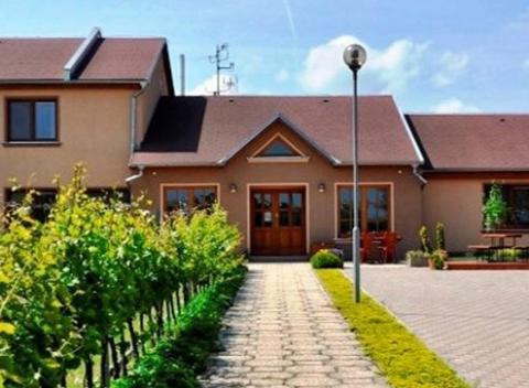 Skvelá dovolenka v príjemnom prostredí viníc na Južnej Morave. Užite si 4 až 6-dňový pobyt s raňajkami v rodinnom penzióne Kovács pre 2 osoby.