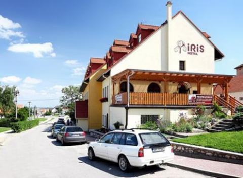 Odpočiňte si na juhu Moravy vďaka širokej škále wellness procedúr ako sú whirlpool, rašelinový zábal či sauna a ochutnajte skvelú kuchyňu.