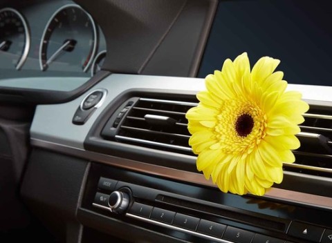 Dezinfekcia interiéru a klimatizácie ozónom alebo servis a plnenie klimatizácie.