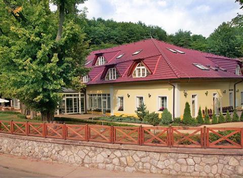 Vstup do bazéna, sáun a masáž pre 1 osobu v PARKHOTELI**** na Baračke. Oddýchnite si od každodenných starostí a stresu. 