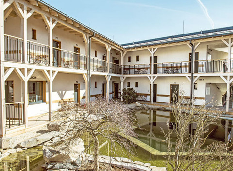 Bojnice v štýlovom penzióne Meridiana so vstupom do kúpeľov a polpenziou.