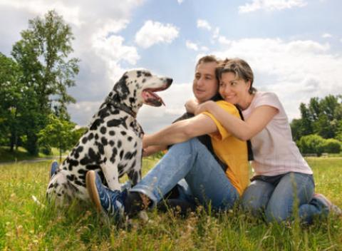 Vychutnajte si dovolenku so svojim psím miláčikom v nádhernom alpskom údolí. Pobyt v Rakúsku v hoteli Sonja s polpenziou pre 2 osoby a psa!