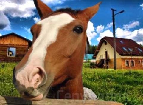 Relaxujte v krásnej prírode a užite si nezabudnuteľné leto plné zážitkov a dobrodružstiev. Pobyt v penzióne sv. Mitro so zľavou na wellness. 