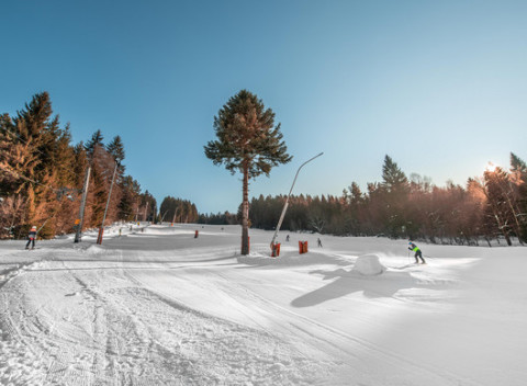 Celodenný skipas do strediska SKI Čertov so 7 traťami, z ktorých si vyberie každý.