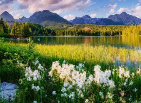 Luxusné apartmány Vila Marína na brehu Štrbského plesa,  bohaté raňajky, wellness, jazda kočom a množstvo aktivít v okolí.