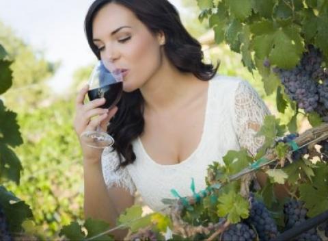 Zavítajte do penziónu U Tomčalů do vinárskej dedinky Čejč a tešte sa na fľašu vína, degustáciu 10 vzoriek vína a chutnú polpenziu. 