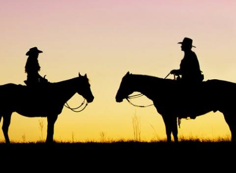 Zavítajte do Motešíc neďaleko Trenčína a užite si plno zábavy. Príjemný až 6-dňový pobyt pre dve osoby pri koňoch s polpenziou.  