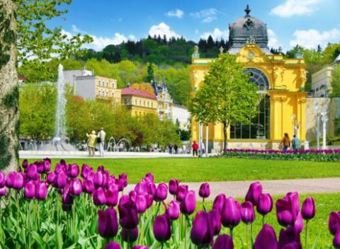 Odpočinok v kúpeľoch by ste si mali dopriavať pravidelne. Fantastický 3 až 8-dňový wellness pobyt v Mariánských Lázních pre 2 s polpenziou.