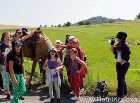 Nezabudnuteľné leto pre vaše deti! Kúpanie sa v bazéne, staranie sa o zvieratká, angličtina hrou to všetko v detskom tábore pri Zvolene!