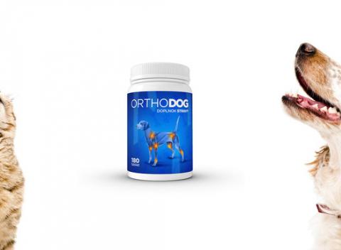 Doplnok stravy ORTHOdog/180tbl, kĺbna výživa pre psov a mačky bez cukru. Vyživuje kĺbové chrupavky, pomáha pri pohybových problémoch.