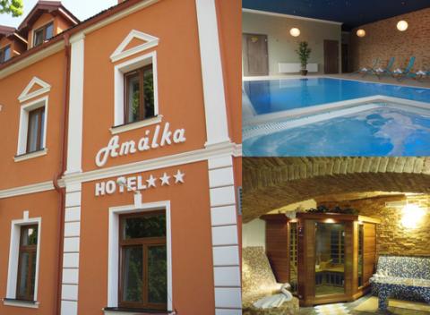 Doprajte si pokojnú dovolenku v malebnej českej dedinke Straškov-Vodochody. Letný pobyt v hoteli Amálka s raňajkami a vstupom do wellness.