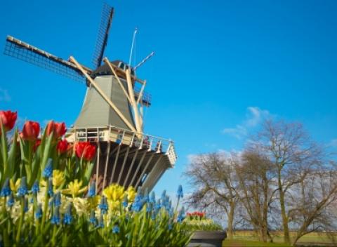 Zájazd do Amstredamu. Užite si plavbu loďou centrom mesta, prehliadkou množstva pamiatok, výlet do Delftu či rybárskej dedinky Volendam. 