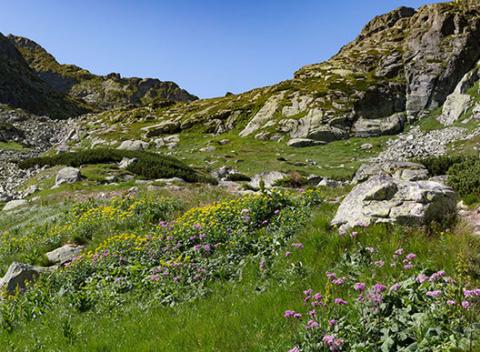 Skvelý víkend v nádhernej prírode pod Kráľovou Hoľou. Pobyt pre 7 osôb na chate Čučoriedka s raňajkami, vstupom do wellness a grilovačkou.