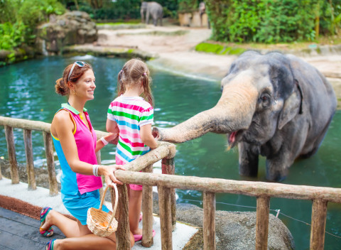 Penzión Pod vyhlídkou blízko ZOO Dvůr Králové s raňajkami, vínom a saunou.