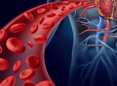 Nakopnite si krvný obeh pomocou Sonotherapie – vyšetrenie a liečba cievneho systému.