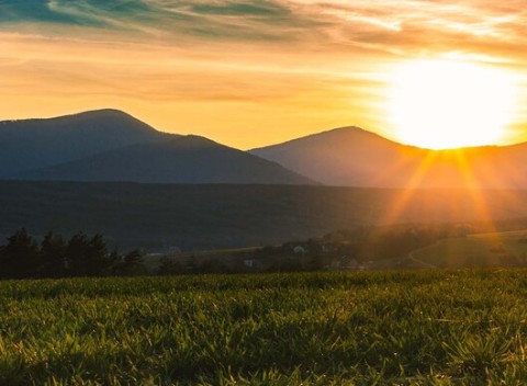 Skorá jar s rodinou v Penzióne Bezovec*** s polpenziou, wellness, procedúrou a výletom do Hornej Dolnej.