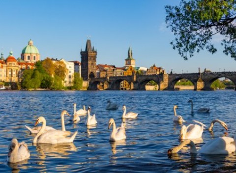 Skvelé atrakcie v Prahe si vychutnáte pri pobyte v centre v 4* hoteli Seifert.