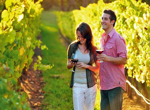 Len vy, váš partner, vôňa vína a rozprávkové okolie južnej Moravy! Taký je vinársky pobyt pre dvoch s degustáciou vína, polpenziou a ďalším.