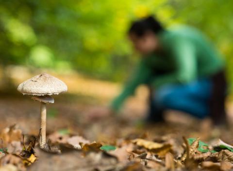 Jedinečná dovolenka v srdci stredného Slovenska v Horskom hoteli Royal*** v očarujúcej prírode Veporských Vrchov s polpenziou a wellness.