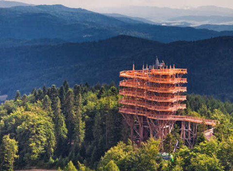 Wellness pobyt a polpenzia v penzióne Klimek**** blízko dychberúceho chodníka v stromoch.