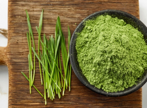 Doprajte si zdravú pochúťku. Zelený jačmeň v prášku plný vitamínov, potrebných živín a antioxidantov pre doplnenie energie a šejker zdarma.