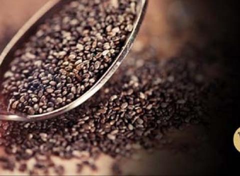 Potrebujete načerpať energiu alebo schudnúť? Vyskúšajte jedinečný prírodný zdroj vitamínov - CHIA semienka, ktoré poznali už starí Aztéci! 