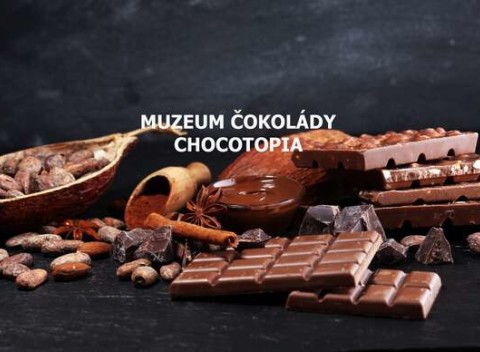 Vstup do múzea čokolády Chocotopia v centre Prahy s ochutnávkou (platné až do konca roka).