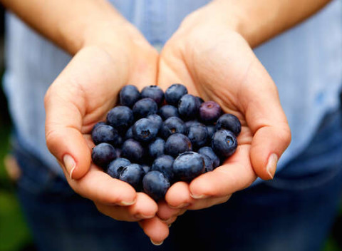 Rodinné balenie 5 kg čerstvých čučoriedok lesných z našich slovenských hôr od MaMa Natura.