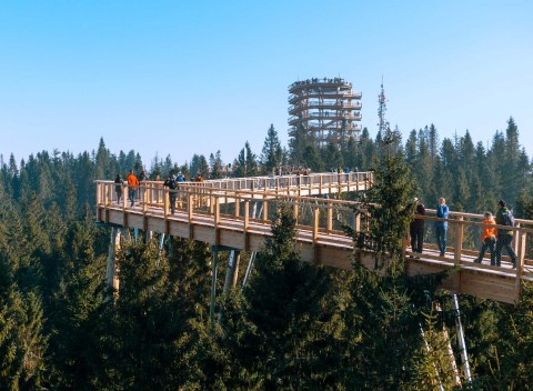 Skvelý letný pobyt vo Vila Panorama v tichej lokalite v Ždiari s výhľadom na Belianske Tatry.