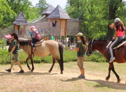 Denný tábor na celý týždeň – športový, s koníkmi, tanečný alebo florbalový.