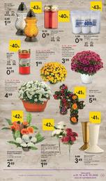 19. stránka Tesco letáku