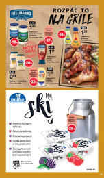 19. stránka Tesco letáku