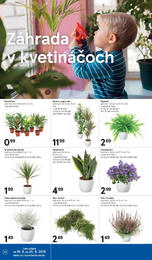 10. stránka Tesco letáku