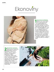 100. stránka Tesco letáku